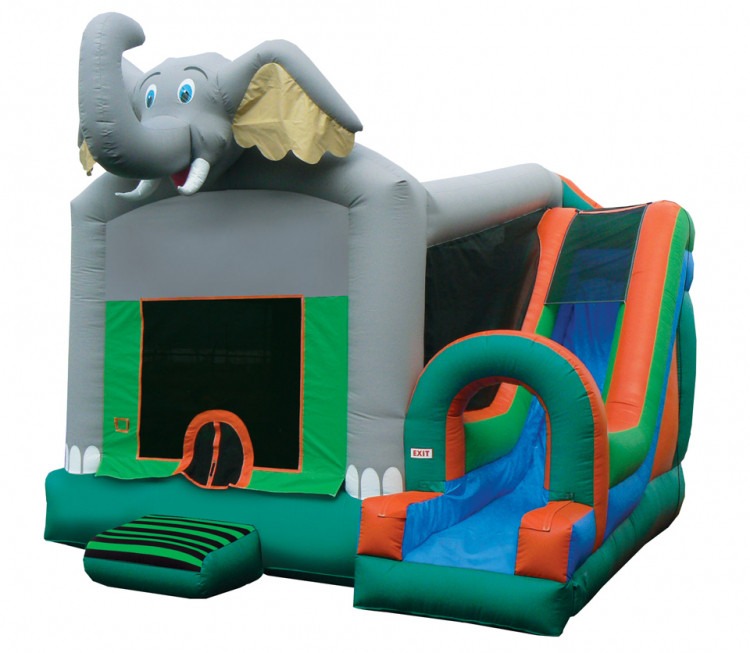 Bounce House w/ Slide Rentals